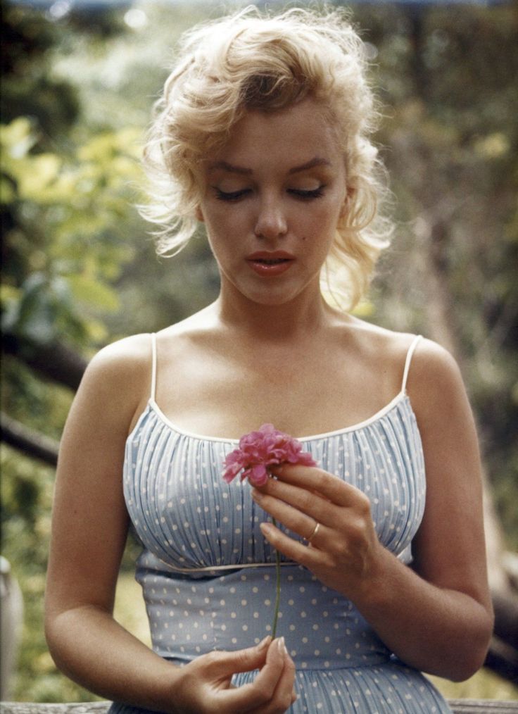 flores de marilyn